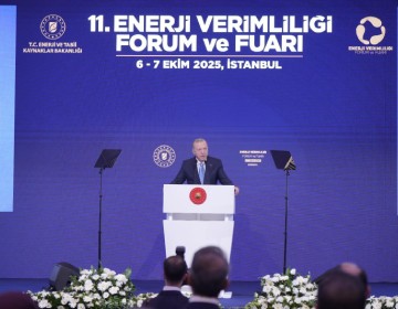 11. EVF <p>11. EVF</p>
